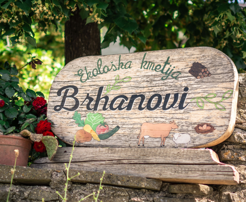 Brhanovi ponudba 6
